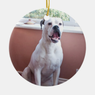 Ornament: White Boxer Dog Ceramic Tree Decoration