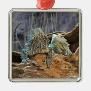 Ornament with two curious lizards