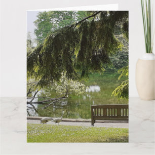 Ornamental Duck Pond Card