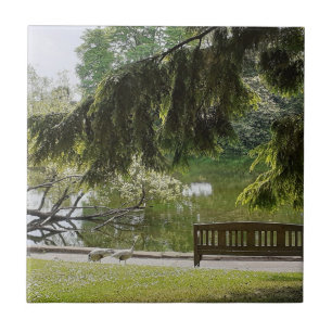 Ornamental Duck Pond Ceramic Tile