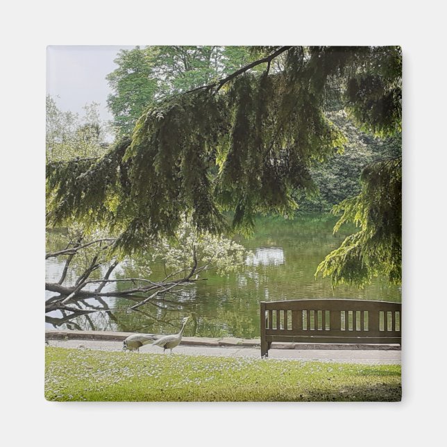 Ornamental Duck Pond Magnet (Front)