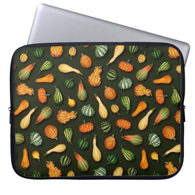 Ornamental Gourds for Autumn, Fall, Thanksgiving Laptop Sleeve (Front)