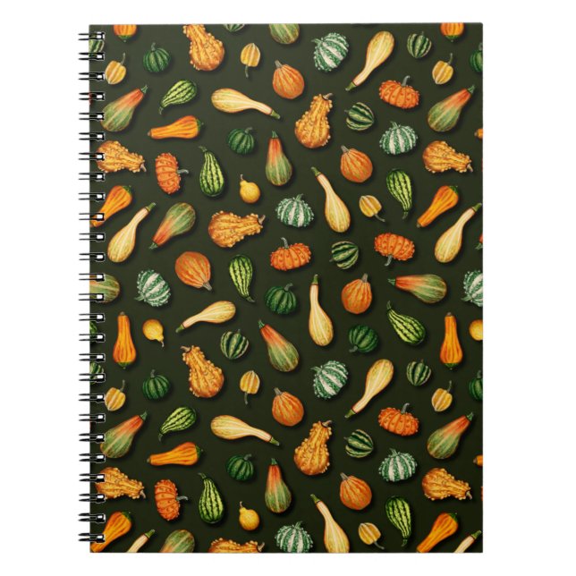 Ornamental Gourds for Autumn, Fall, Thanksgiving Notebook (Front)