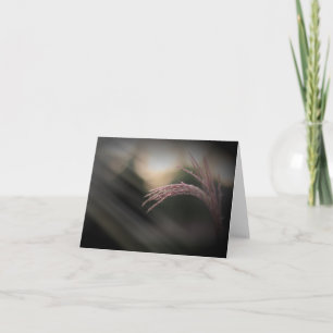 Ornamental Grass Note Cards