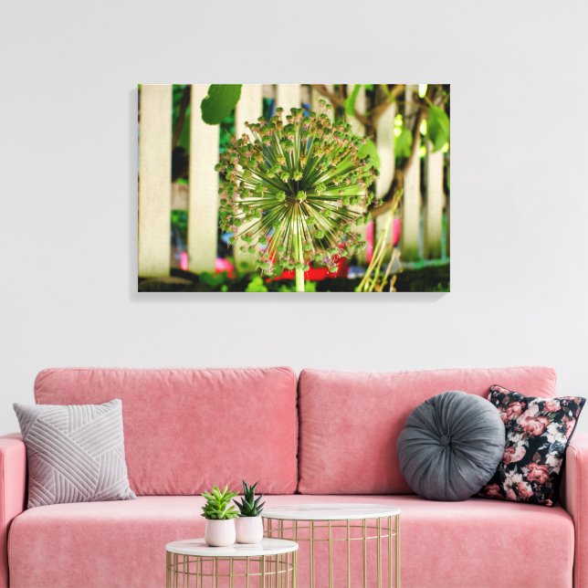 Ornamental Onion  Canvas Print (Insitu(LivingRoom))