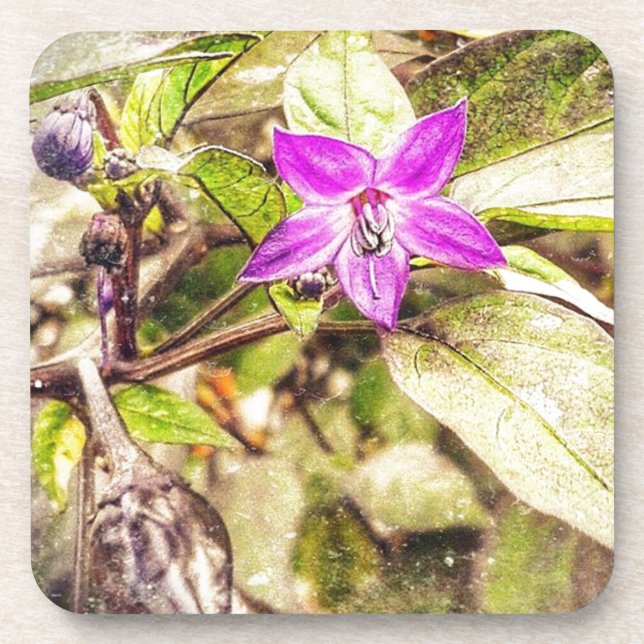 Ornamental Peppers Coaster (Front)