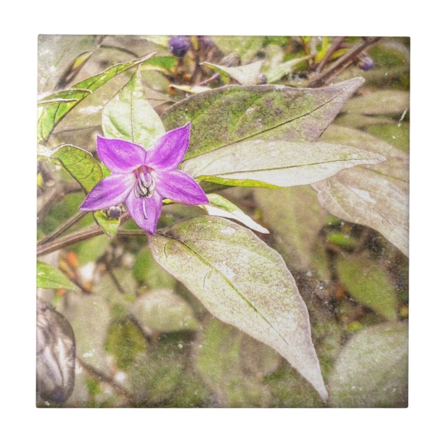 Ornamental Peppers Tile (Front)