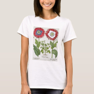 Ornamental Poppies, from the 'Hortus Eystettensis' T-Shirt