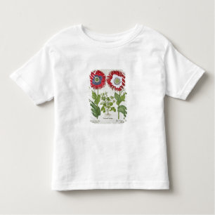 Ornamental Poppies, from the 'Hortus Eystettensis' Toddler T-Shirt