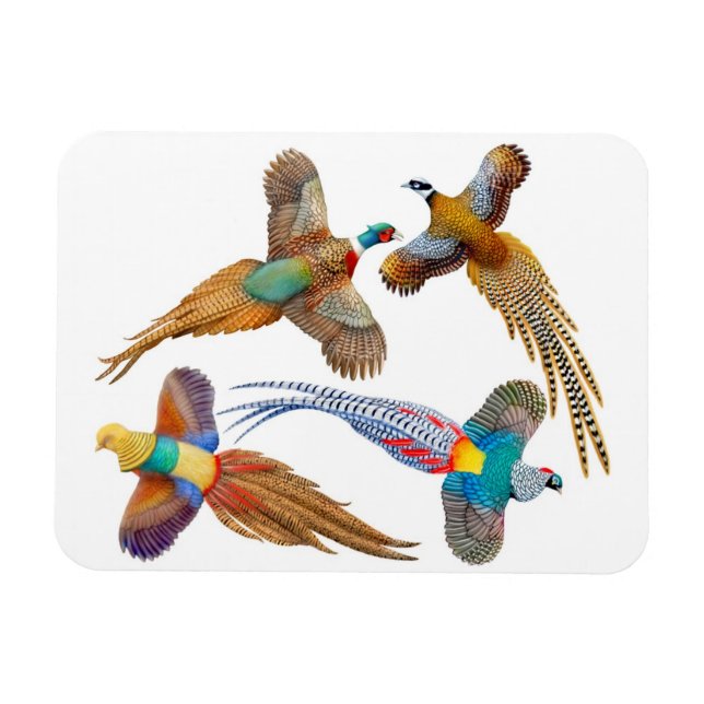 Ornamental Wild Pheasant Birds Premium Magnet (Horizontal)