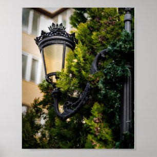 Ornate Black Cast Iron Street Lamp Poster