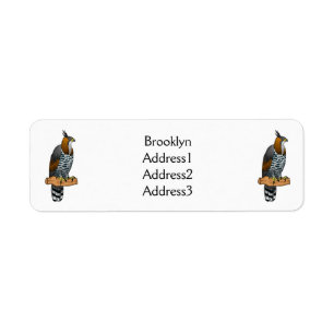 Ornate hawk eagle bird cartoon illustration 