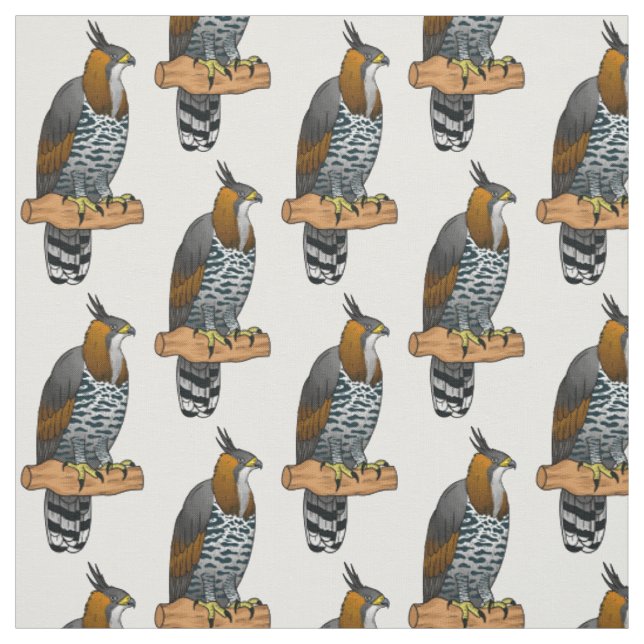 Ornate hawk eagle bird cartoon illustration  fabric (Swatch)