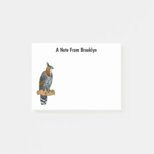 Ornate hawk eagle bird cartoon illustration post-it notes