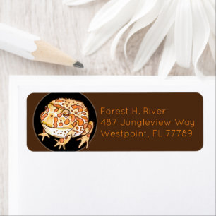 Ornate Horned Frog