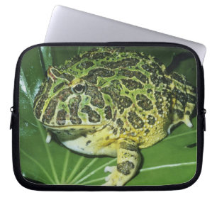 Ornate Horned Frog, (Ceratophrys ornata), Laptop Sleeve