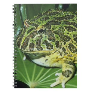 Ornate Horned Frog, (Ceratophrys ornata), Spiral Notebook