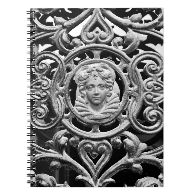 Ornate Iron-Wrought Storm Door Notebook (Front)