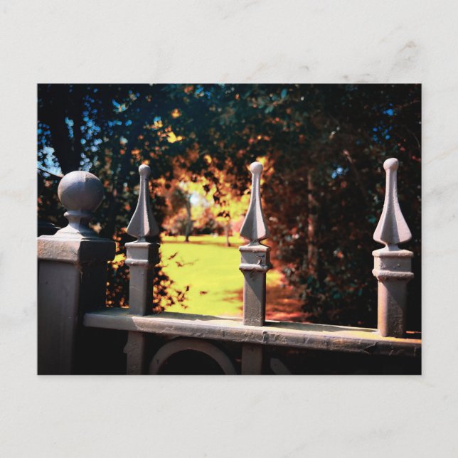 Ornate Stone Railing with Golden Hour Light Postcard (Front)