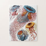 Ornate Vintage Jellyfish Jigsaw Puzzle<br><div class="desc">Beautiful puzzle with vintage illustration by Ernst Haeckel of various Jellyfish species.</div>