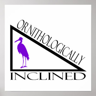 Ornithologically Inclined Poster