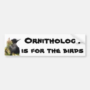 Ornithology is For the Birds Crow on Tree Bumper Sticker