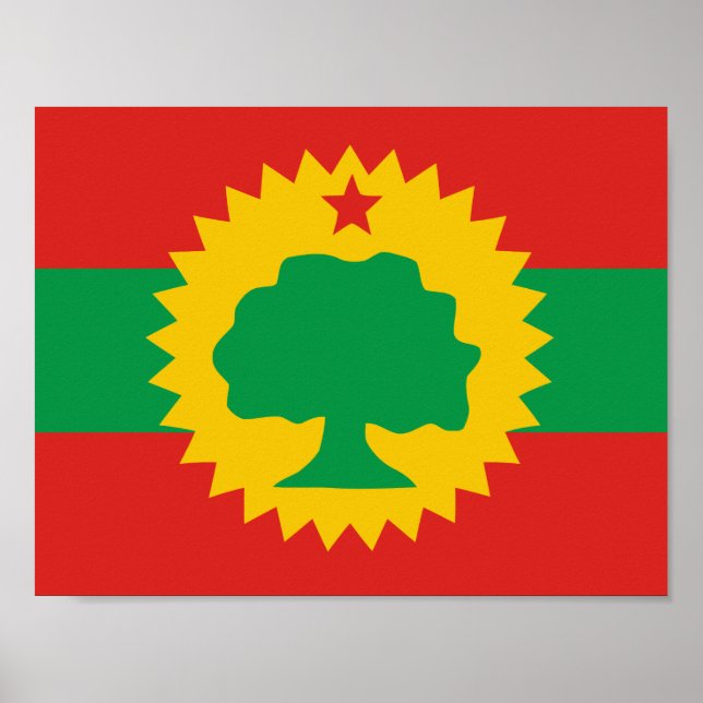Oromo Flag Poster (Front)