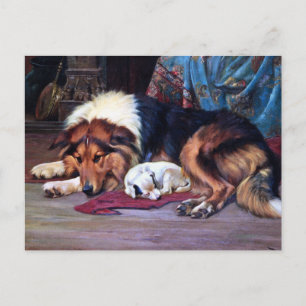 Orphan Dog with Collie Vintage Art Postcard