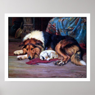 Orphan Puppy and a Collie - by Wright Barker Poster