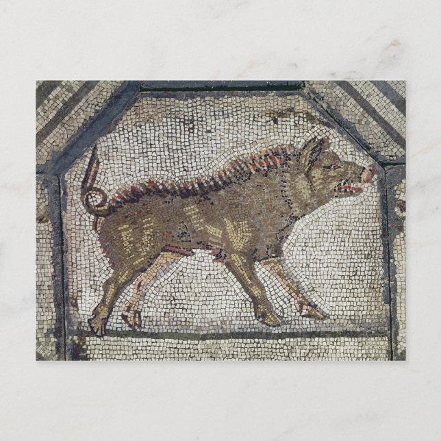 Orpheus Charming the Animals Postcard (Front)