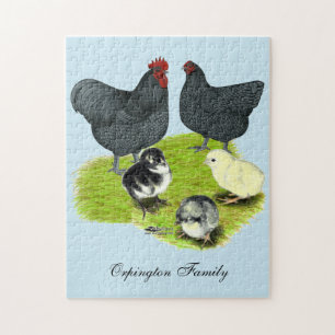 Orpington Blue Chicken Family Jigsaw Puzzle