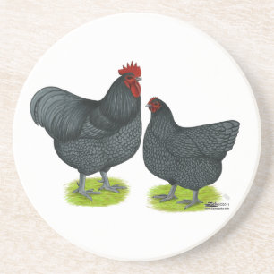 Orpington: Blue Pair Coaster