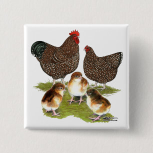Orpington Jubilee Chicken Family 15 Cm Square Badge