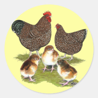 Orpington Jubilee Chicken Family Classic Round Sticker