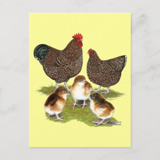 Orpington Jubilee Chicken Family Postcard