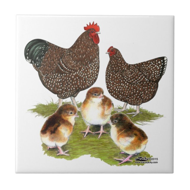 Orpington Jubilee Chicken Family Tile (Front)