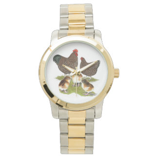 Orpington Jubilee Chicken Family Watch