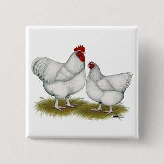 Orpington: White Pair 15 Cm Square Badge