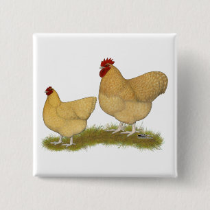Orpingtons Lemon Cuckoo 15 Cm Square Badge