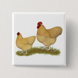 Orpingtons Lemon Cuckoo 15 Cm Square Badge