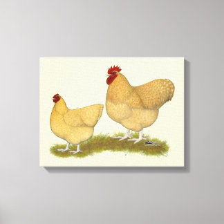 Orpingtons Lemon Cuckoo Canvas Print