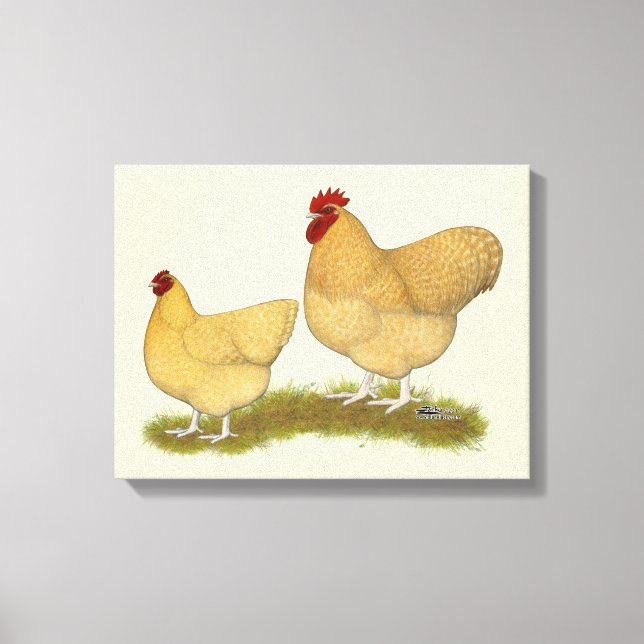 Orpingtons Lemon Cuckoo Canvas Print (Front)