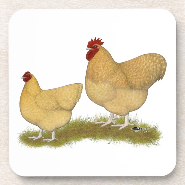 Orpingtons Lemon Cuckoo Coaster (Front)
