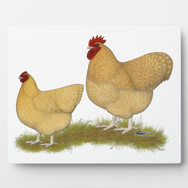 Orpingtons Lemon Cuckoo Plaque (Front)