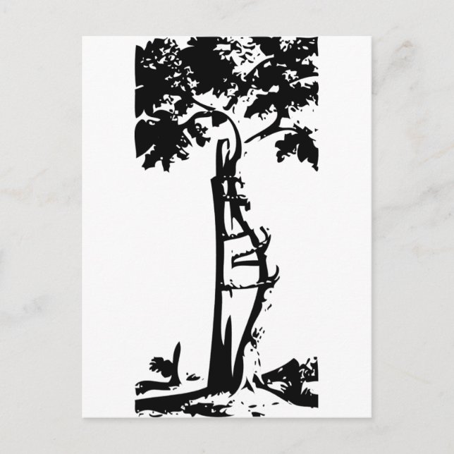 Orthopaedic Crooked Tree Postcard (Front)
