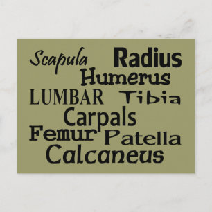 Orthopaedic Physician/Surgeon Gifts Postcard