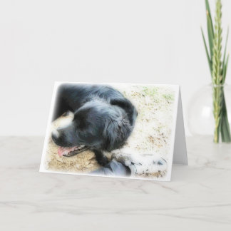 Orton Smokey and Matte Card