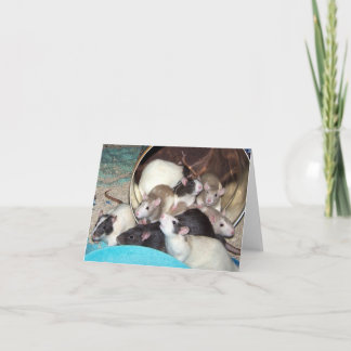 Orvietta and Kids Note Card