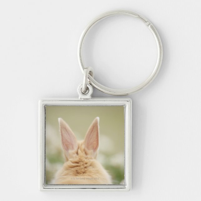 Oryctolagus cuniculus 2 key ring (Front)