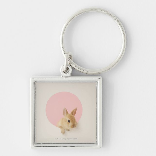 Oryctolagus cuniculus 3 key ring (Front)